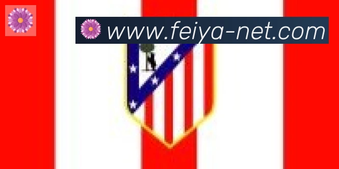 飞亚体育合作伙伴